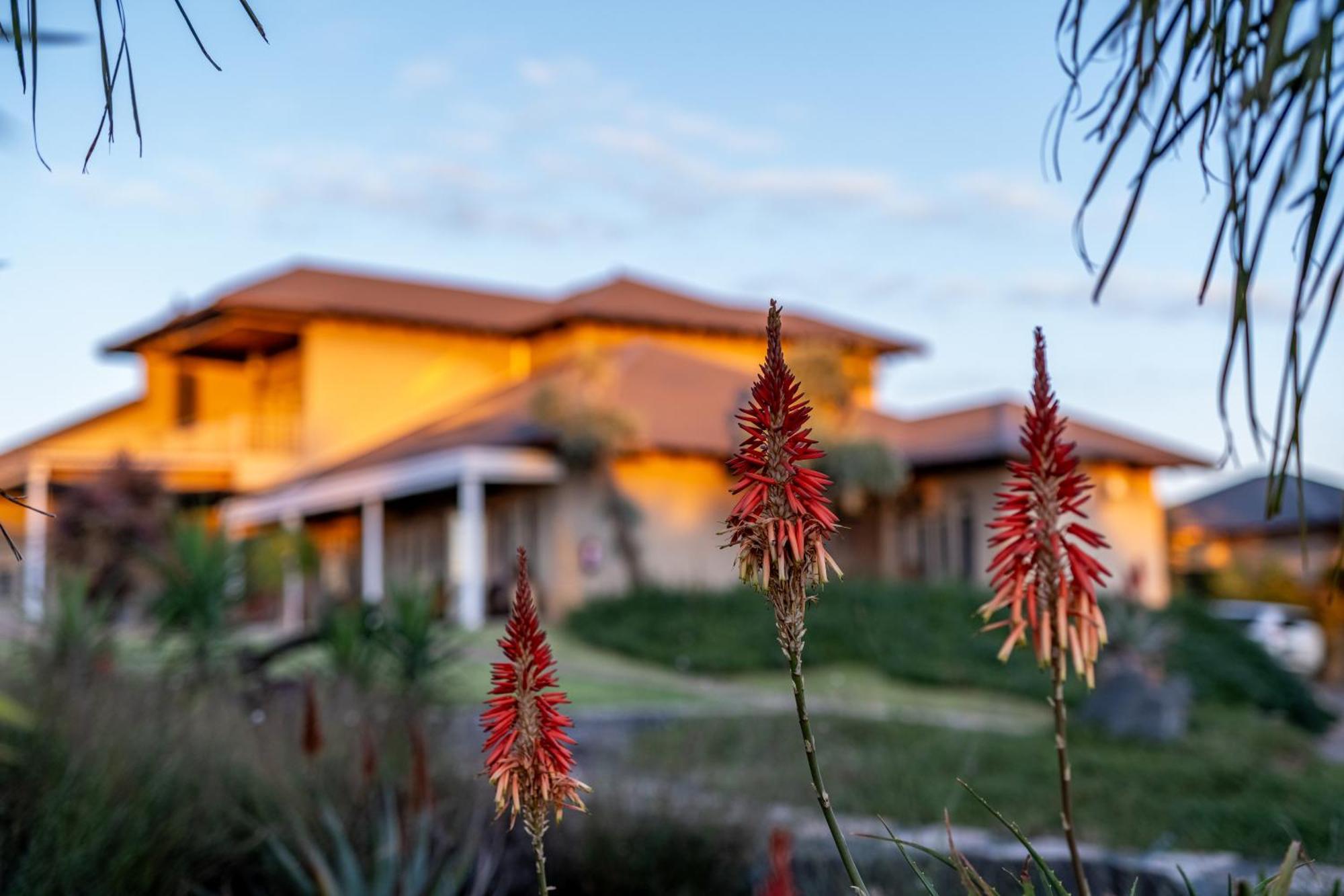 Blue Rain Guest House Bloemfontein Exteriér fotografie